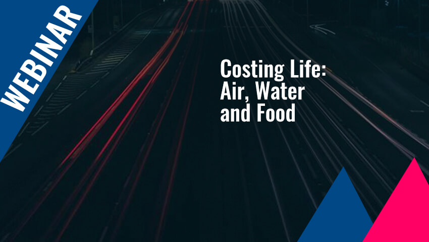 Costing Life: Air, Water and Food - The COVID-19 pandemic