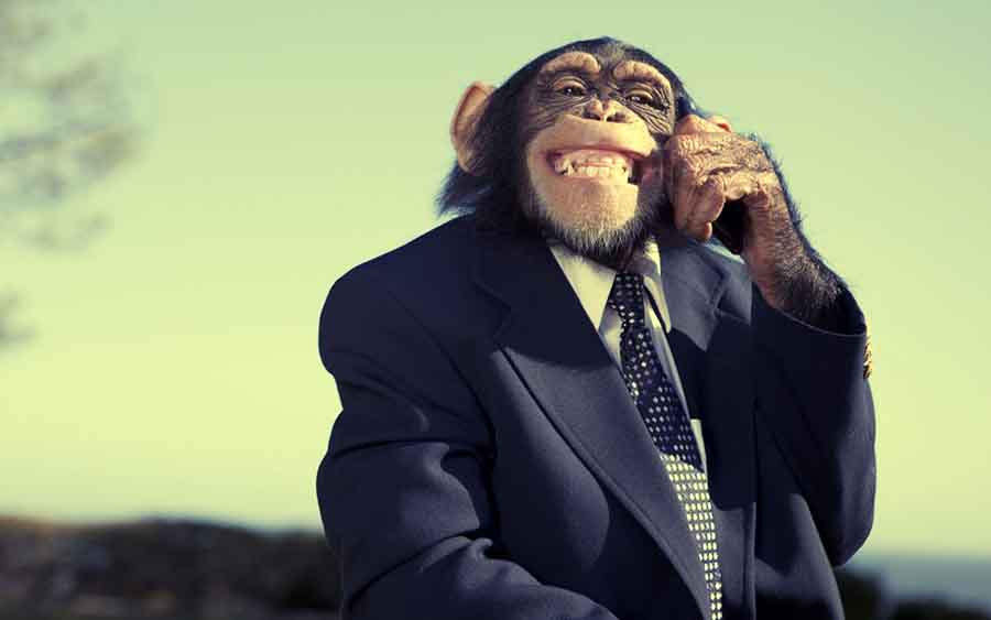 Monkey story on Stock Market dynamics!!